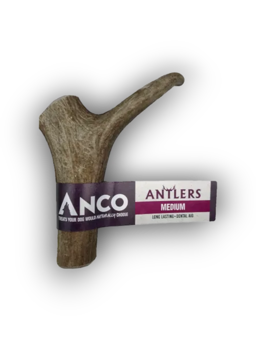 Anco Antlers Medium, a whole naturally shed deer antler chew with sanded cut ends, in Anco packaging
