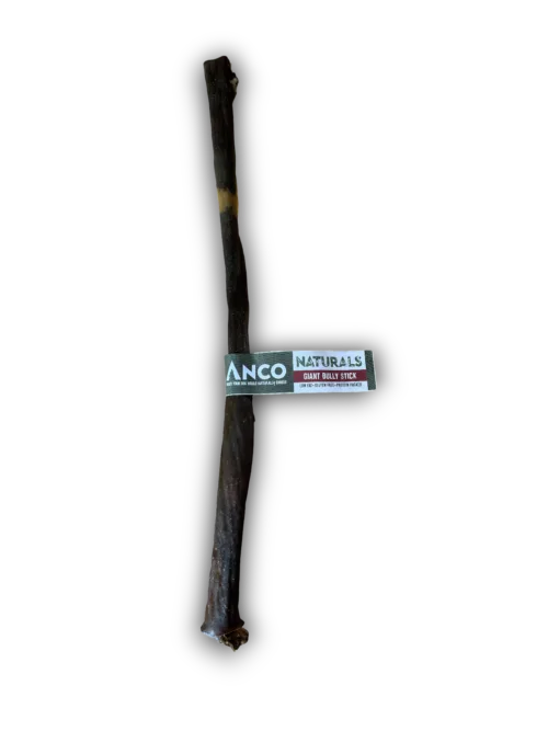 Anco Giant Bully Stick, a long 40-50cm dried beef chew for dogs, shown with its Anco label