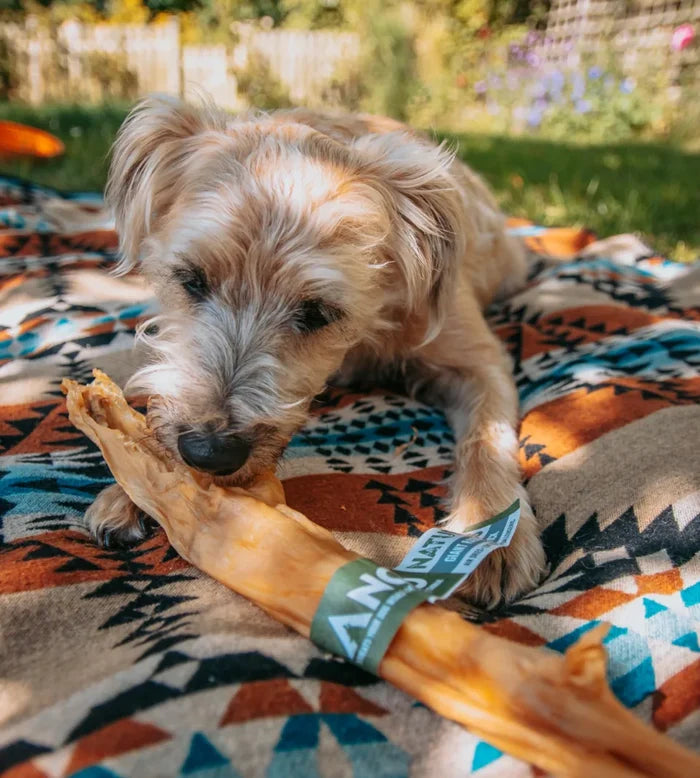 Second view of the Anco Naturals Giant Rabbit Stick air-dried dog chew