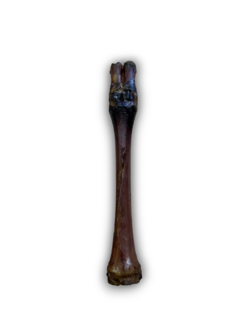 Anco red deer leg, a whole air-dried deer lower leg sold as a single dog chew