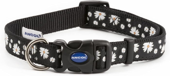 Ancol SOHO Daisy dog collar in bright blue, large, 45-70cm neck on 2.5cm recycled webbing