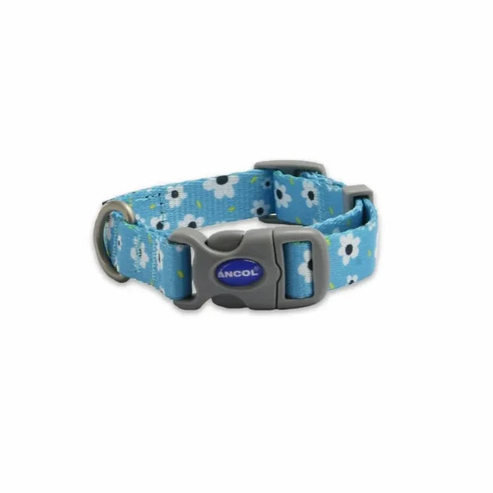 Ancol SOHO Daisy dog collar in bright blue, medium, 30-50cm neck on 2cm recycled webbing