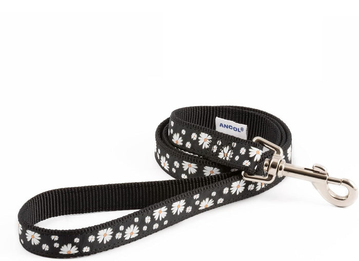 Ancol SOHO Daisy dog lead in bright blue, 100cm by 1.9cm recycled webbing, rated to 50kg
