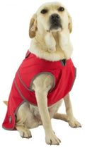Ancol Stormguard softshell dog coat in bordeaux, large 50cm back, waterproof with chest protector