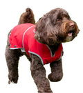 Ancol Stormguard softshell dog coat in bordeaux, medium 40cm back, unlined waterproof shell with harness slot