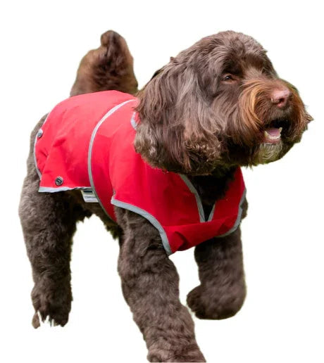 Ancol Stormguard softshell dog coat in bordeaux, medium 40cm back, unlined waterproof shell with harness slot