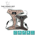Ancol SOHO reversible dog harness, XS for a 23-38cm chest, Dalmatian spots one side and zigzag the other