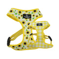 Ancol Soho reversible dog harness in sunflower and yellow check, size XS for 23-38cm chests
