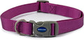 Ancol Viva adjustable dog collar in purple, 45-70cm neck, quick-release buckle and sliding adjuster