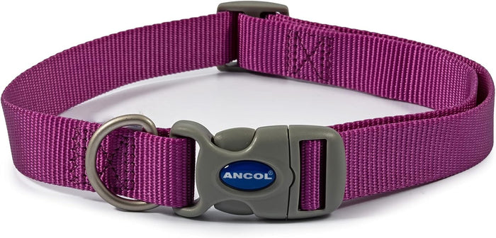 Ancol Viva adjustable dog collar in purple, 45-70cm neck, quick-release buckle and sliding adjuster