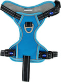 Ancol Viva exercise and travel dog harness in blue, poly-weave webbing with soft air-mesh lining