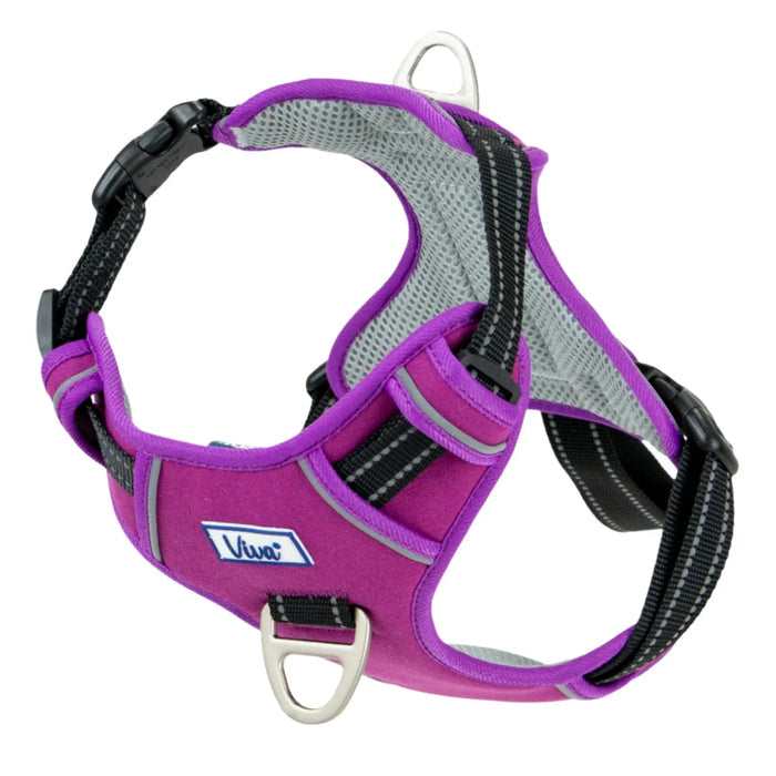 Ancol Viva exercise and travel dog harness in purple, size S for a 35-45cm chest
