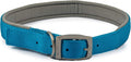 Ancol Viva padded dog collar in blue, poly-weave webbing with soft padding and a satin buckle