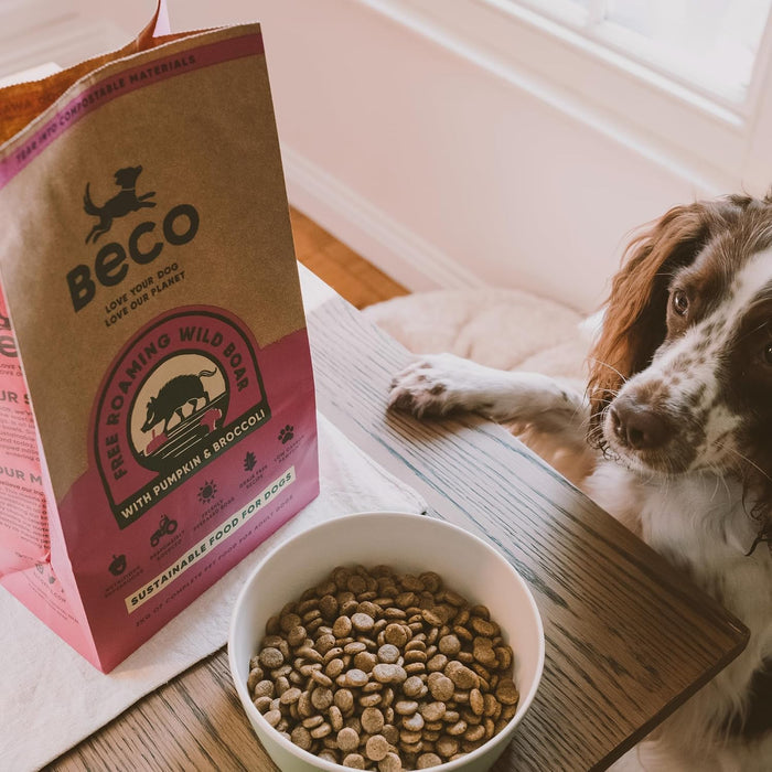 Second view of the Beco Wild Boar dry dog food pack, showing the back panel