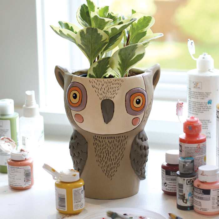 Blue Owl Clock & Planter