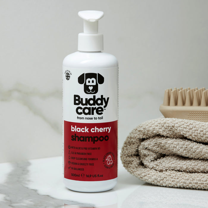 Buddycare Black Cherry dog shampoo bottle held in one hand