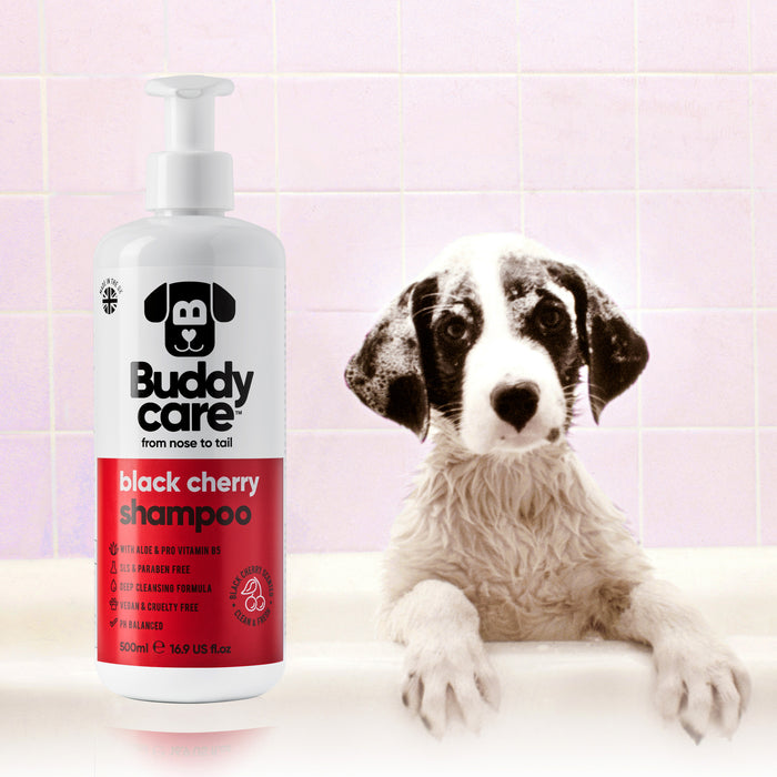 Buddycare Black Cherry dog shampoo photographed alongside a dog after washing