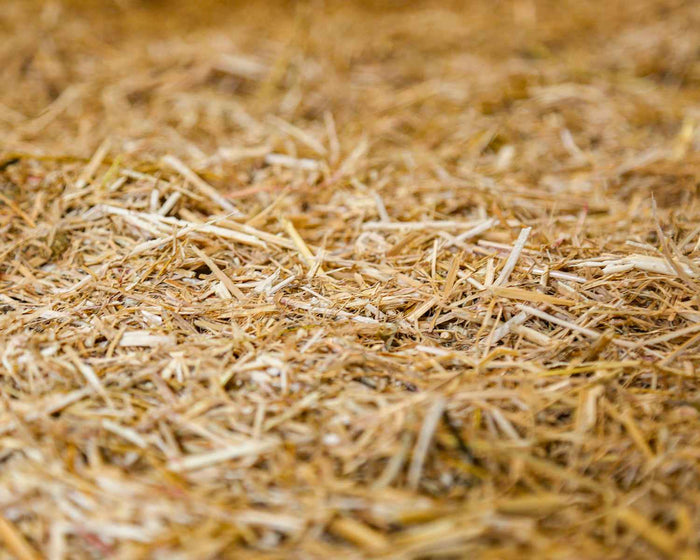 Chicksoft 16kg wheat straw poultry bedding, second photograph in the product gallery