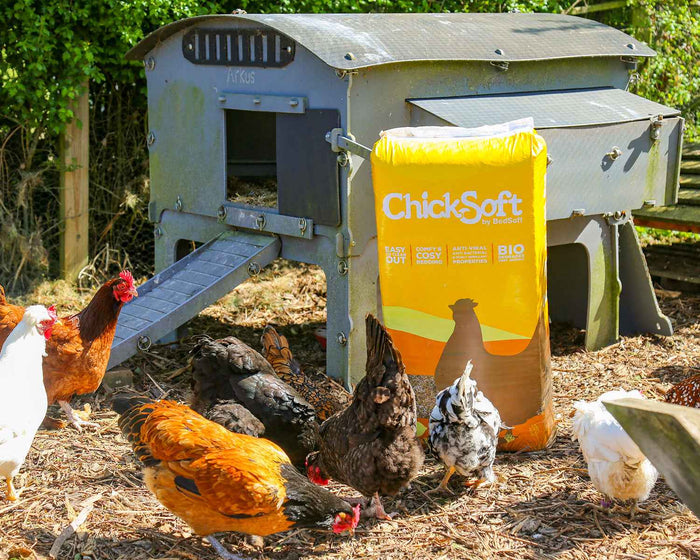 Chicksoft 16kg wheat straw poultry bedding, fourth photograph in the product gallery