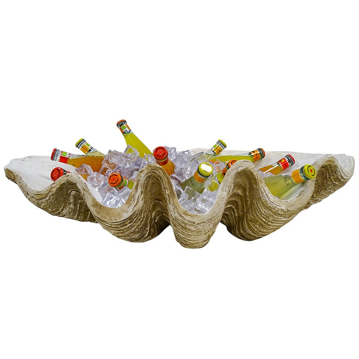 Clam Shell Natural GIANT 79cmL