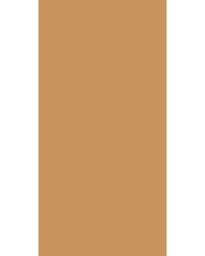 Classy Caramel - GL 170