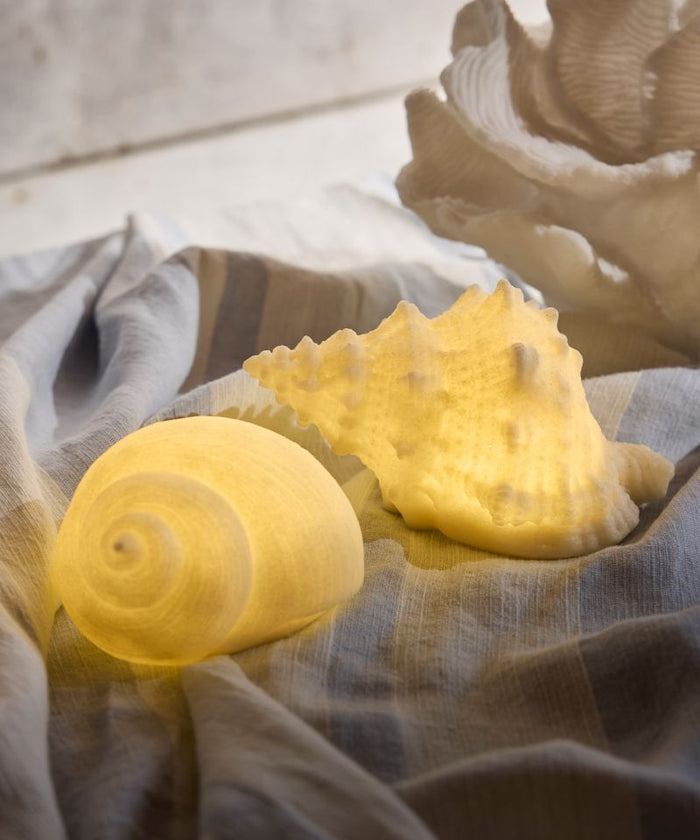 Conch Shell Deco Light