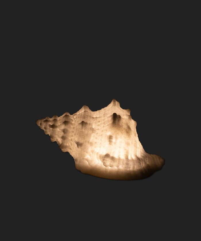 Conch Shell Deco Light