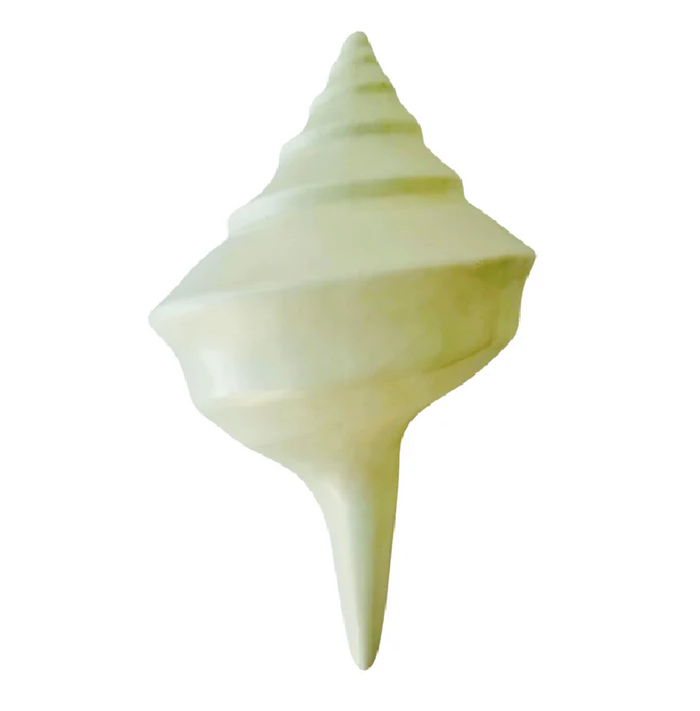 Conch Shell Wall Decor/Light