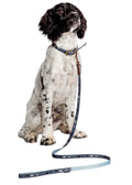 Danish Design FatFace Marching Dogs dog lead with a repeating dog print and metal trigger hook
