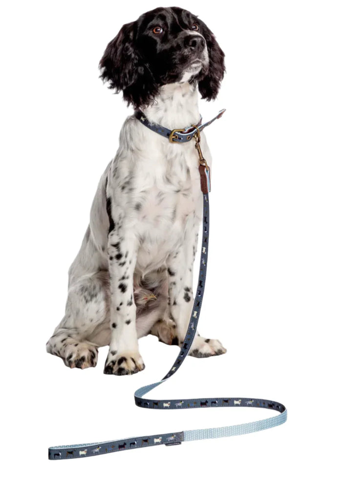 Danish Design FatFace Marching Dogs dog lead with a repeating dog print and metal trigger hook