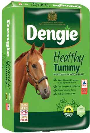 Dengie Healthy Tummy 15Kg - Horse Feed