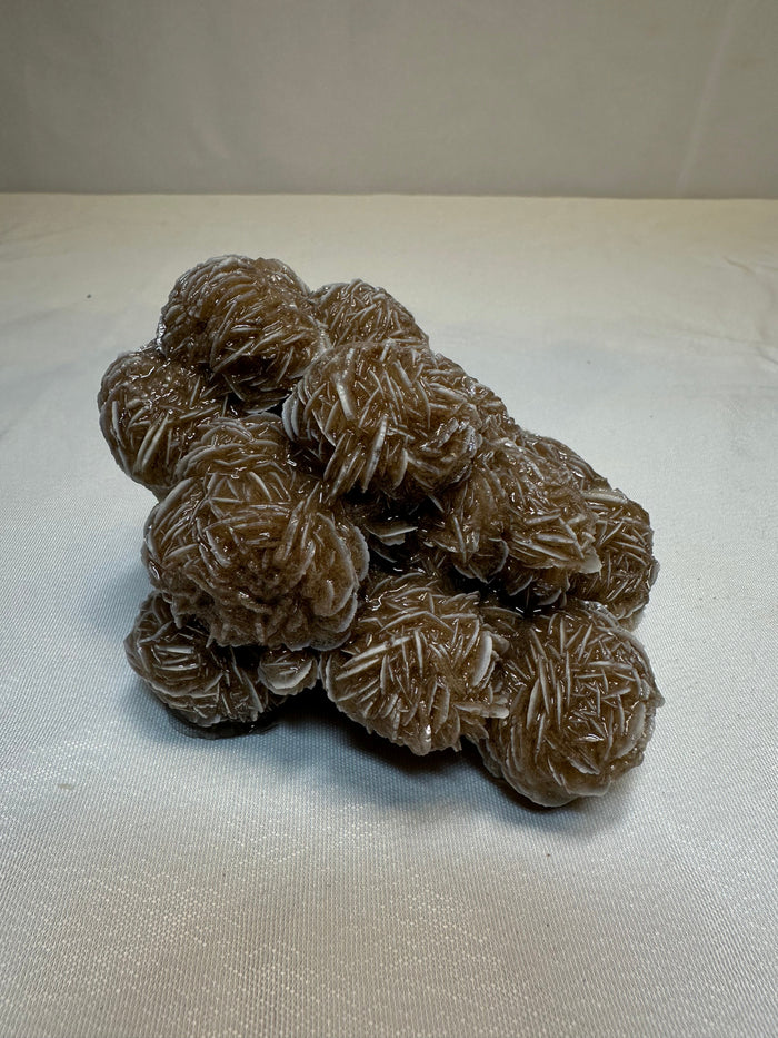 Desert Rose