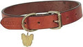 Digby & Fox flat leather dog collar in tan, buckle fastening with metal D-ring