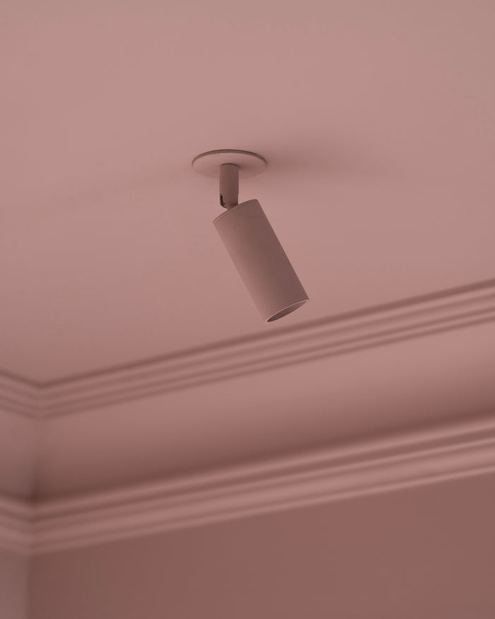P-L1