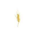 Ear of Wheat Head Brooch Pin