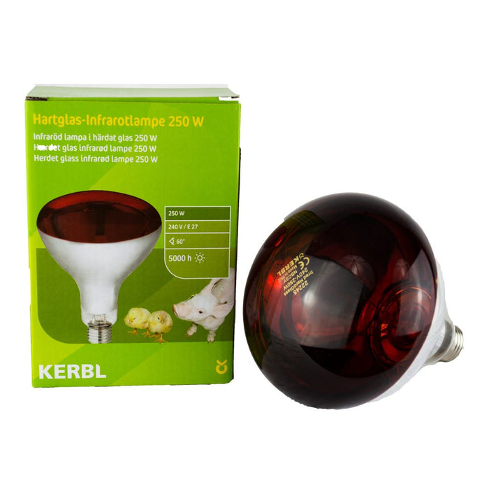 Red 250 watt infrared heat bulb with an E27 screw cap for livestock and poultry brooding