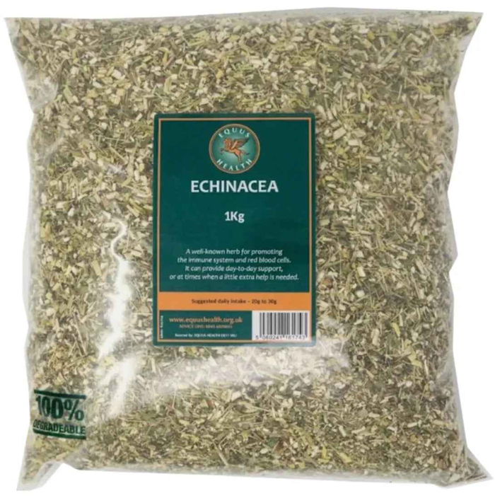 Equus Health Echinacea 1kg tub of dried single-herb equine supplement