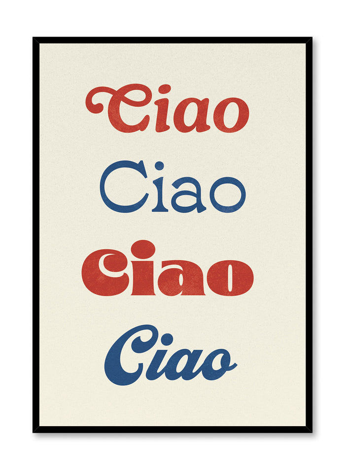 Hello And Goodbye, Poster