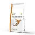 Henry Bell Sunflower Hearts 4kg bag of husk-free shelled sunflower seed for wild birds