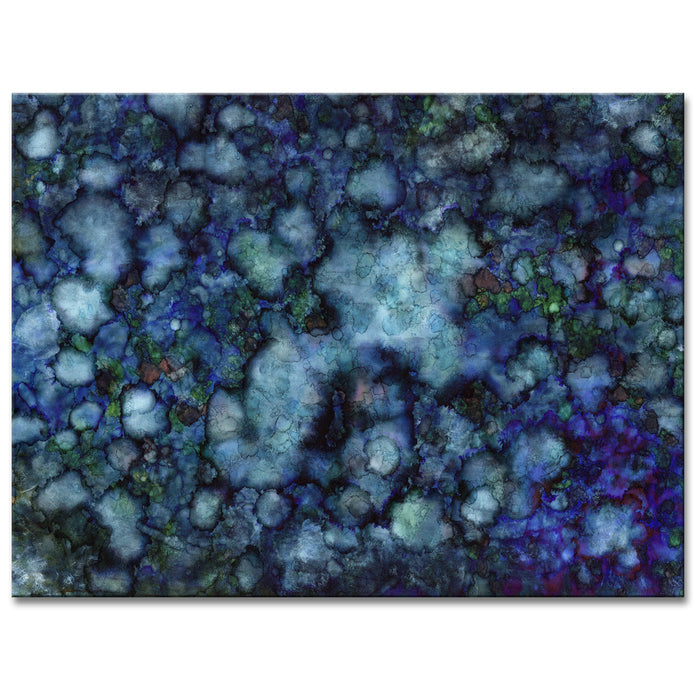 Hidden Galaxy' Wrapped Canvas Wall Art