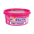 Horslyx Pro Digest Mini Lick 650g hand-held tub, spiced apple flavour gut support for horses