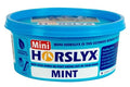 Horslyx Mint Mini Lick 650g hand-held peppermint tub for horses and ponies