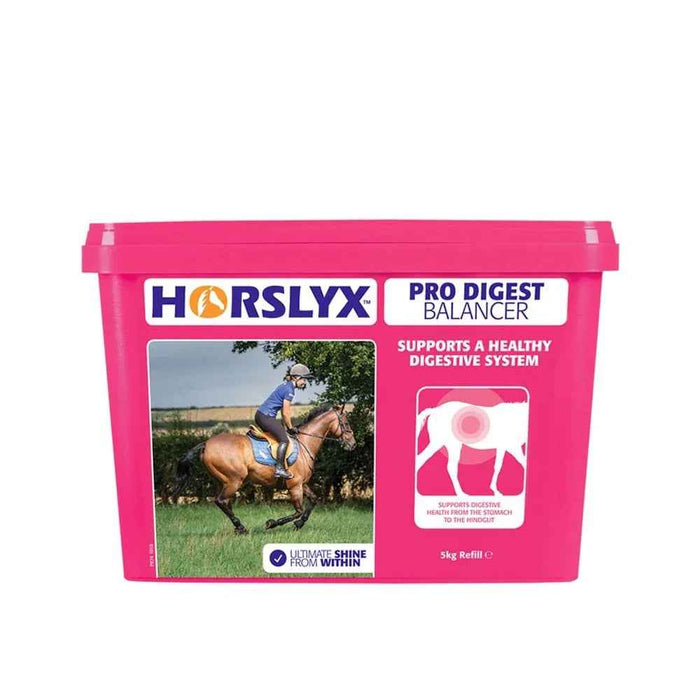 Horslyx Pro Digest Balancer 5kg tub, spiced apple flavour hindgut support lick for horses