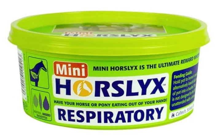 Horslyx Respiratory Mini Lick 650g hand-held tub with menthol and eucalyptus for horses