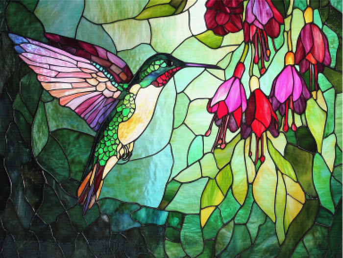 Hummingbird and Fuchsia Blooms
