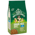 James Wellbeloved Fish & Veg grain free dry dog food, front of the bag showing the fish and vegetable recipe