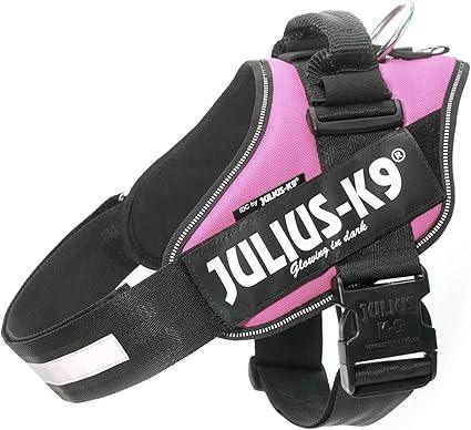 Julius-K9 IDC Powerharness in pink, size 4, the largest size, showing the back saddle and lead ring