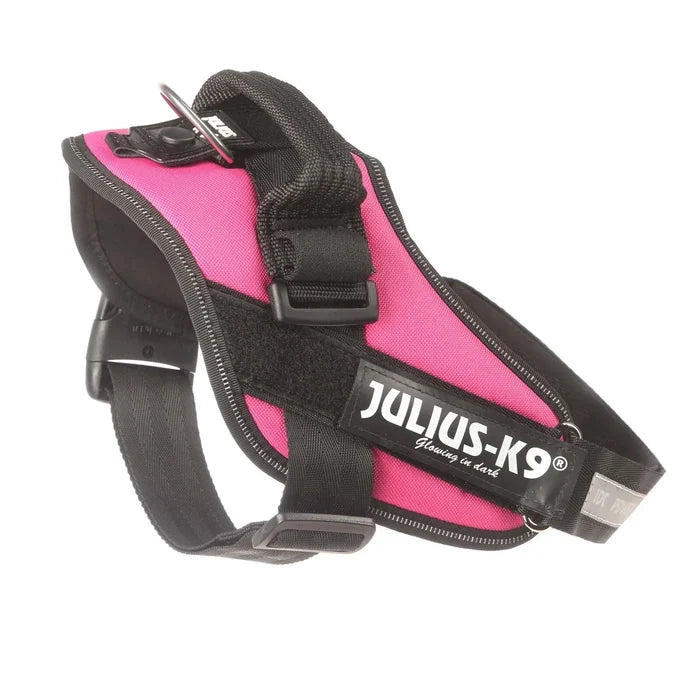 Julius-K9 IDC Powerharness in dark pink, size 4, with the saddle panel and reflective chest strap
