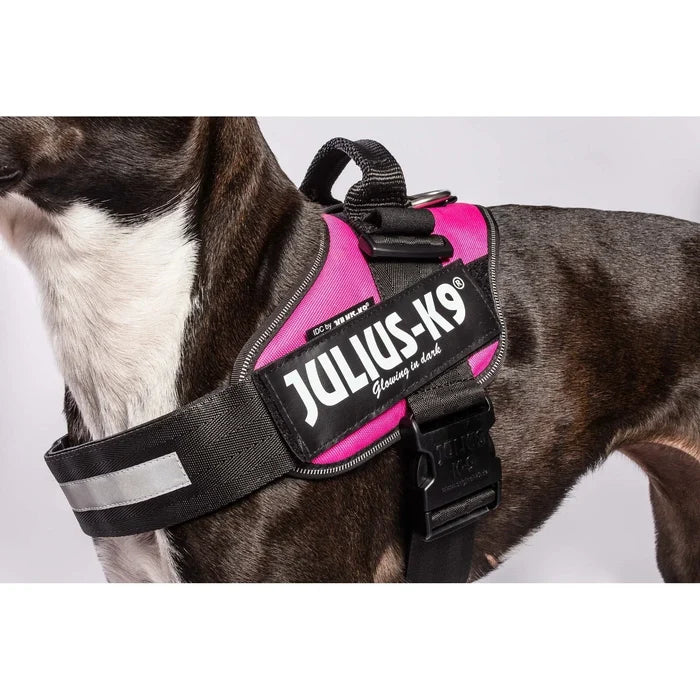 Second view of the dark pink Julius-K9 IDC Powerharness, showing the chest strap and lead ring