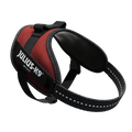 Julius-K9 IDC Powerharness in red, size 2, with reflective edging and the top control handle